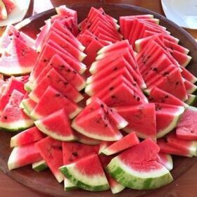 Mogućnosti prehrane